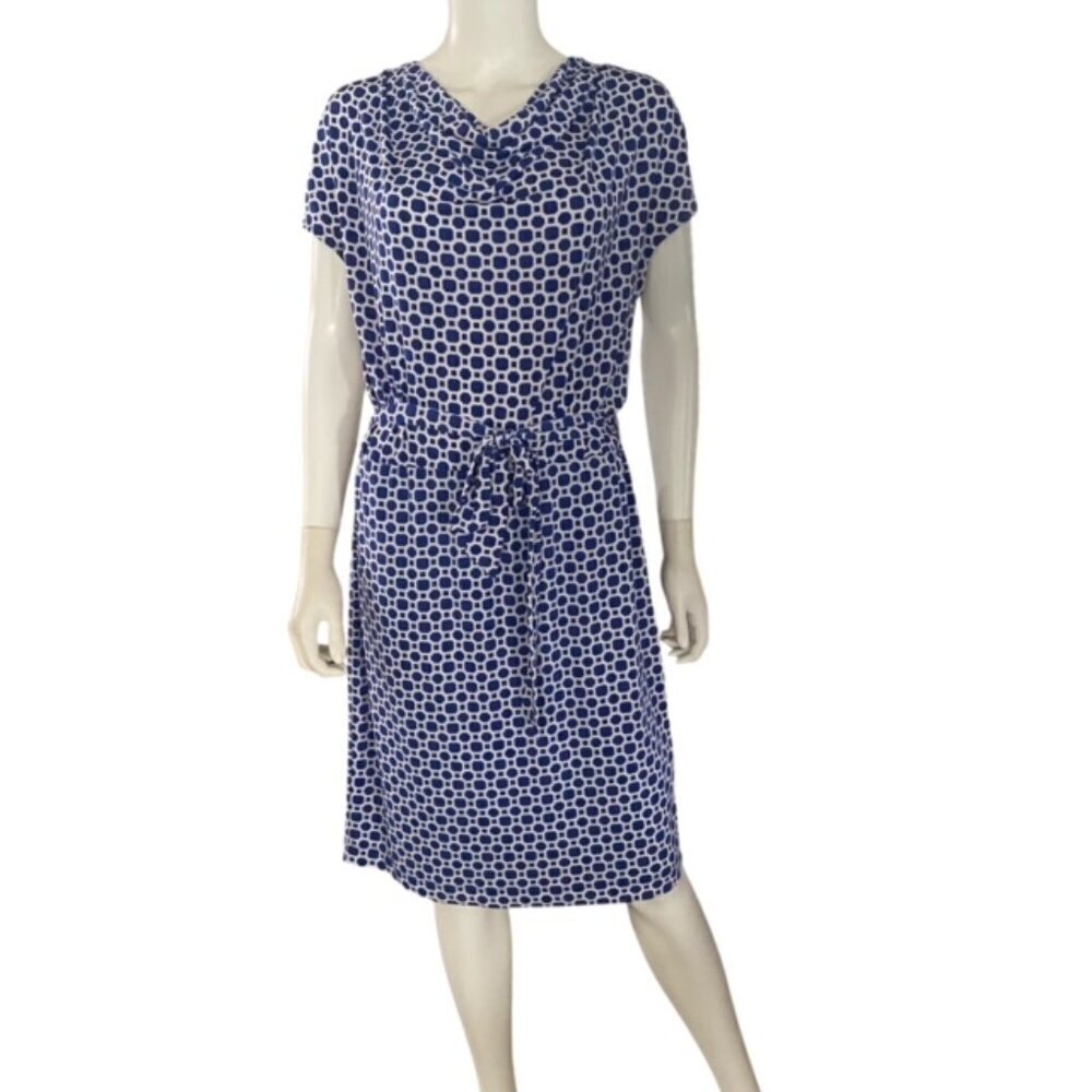 Banana Republic Blue & White Dress Medium